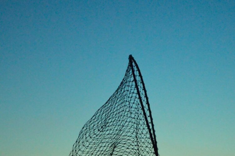 Unlocking Success with Google Ads Campaign Types: A Complete Guide