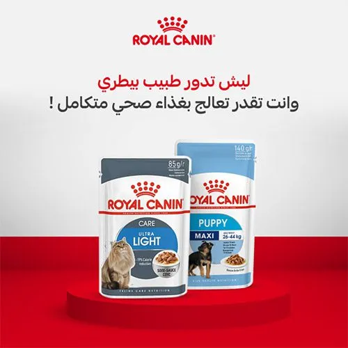 رويال كانين - Visual 3