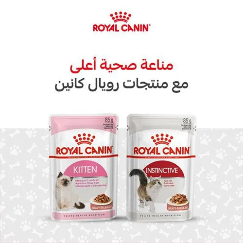 رويال كانين - Visual 4