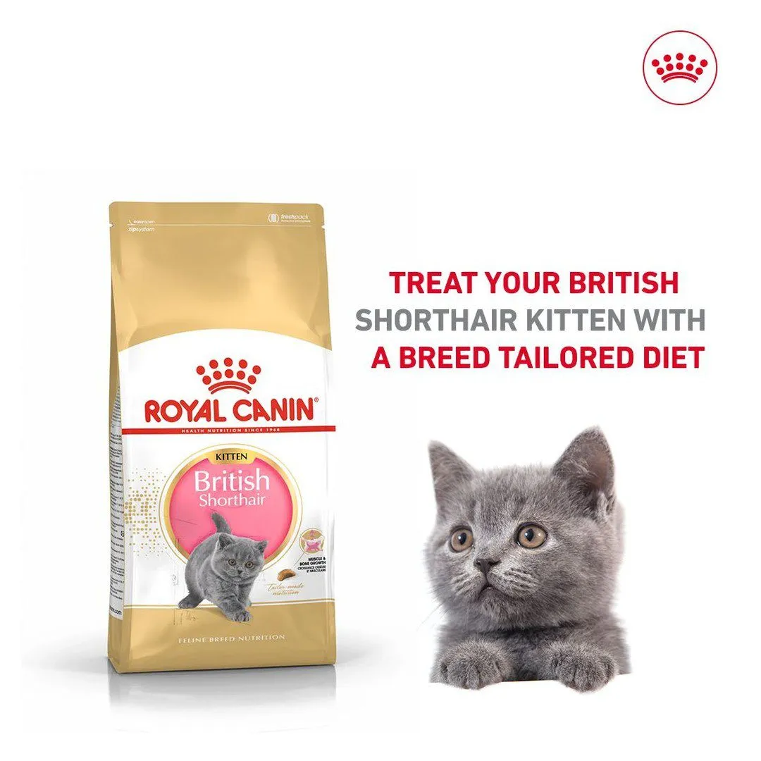 رويال كانين - Visual 6